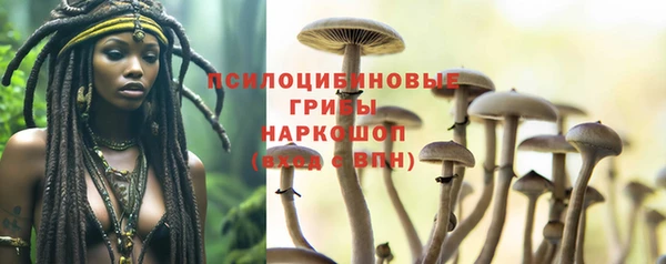 стафф Алзамай