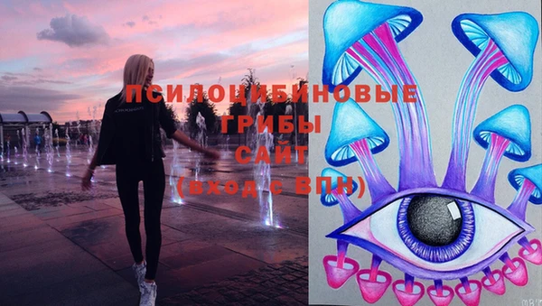 твердый Приозерск