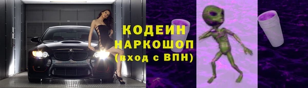 дурь Алексин