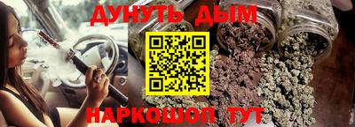 индика Кандалакша
