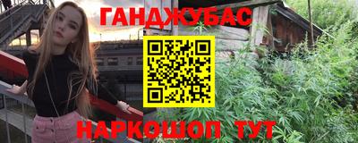 индика Кандалакша