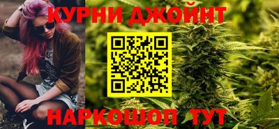 индика Кандалакша