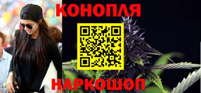 индика Кандалакша