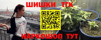 индика Кандалакша