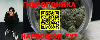 индика Кандалакша