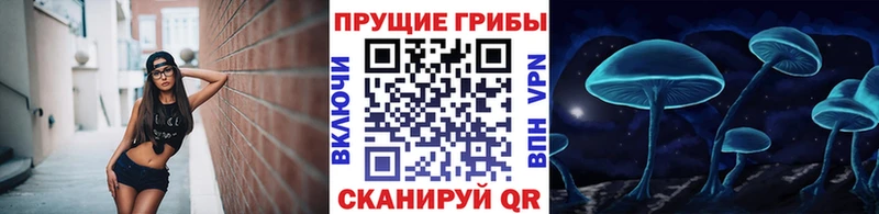 Галлюциногенные грибы MAGIC MUSHROOMS  цены наркотик  Мыски 