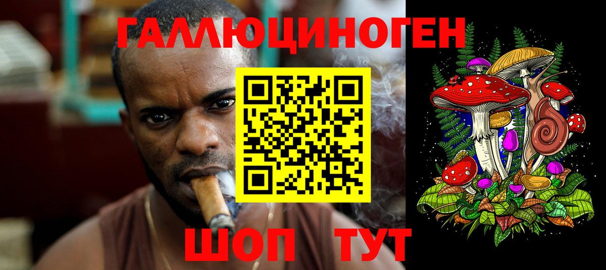 Мыски  Псилоцибиновые грибы мухоморы  Вход с VPN 