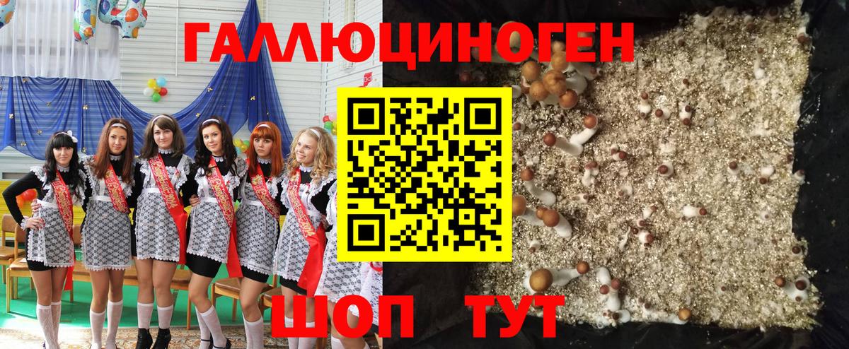 Галлюциногенные грибы ЛСД Мыски